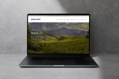 Zhou Zhou Tea Shopify Webstore Migration